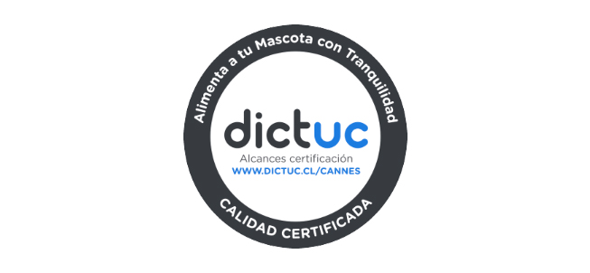 Destacada 3